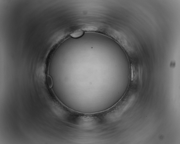 X0000103320300200809051153