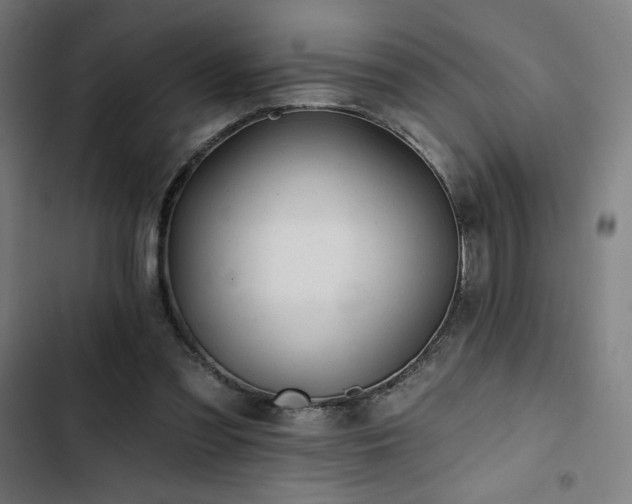 X0000103320301200809051153