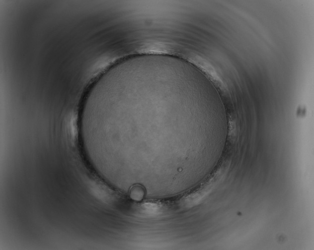 X0000103320302200809051153