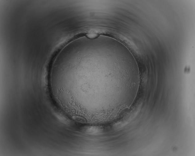 X0000103320303200809051153