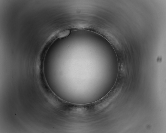 X0000103320304200809051153