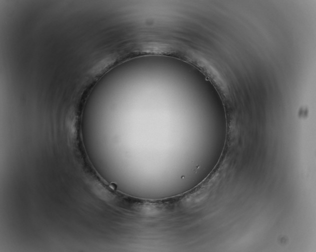 X0000103320305200809051153