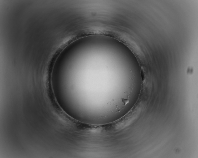 X0000103320306200809051153