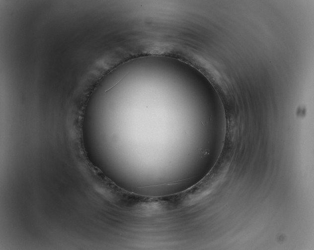 X0000103320307200809051153