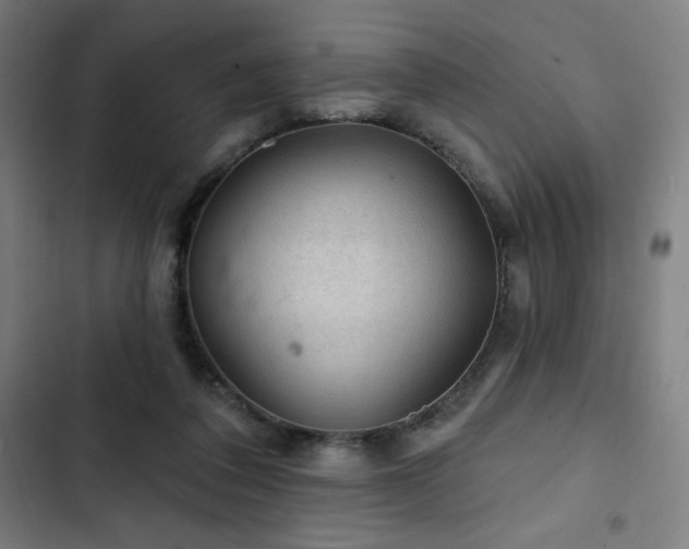 X0000103320308200809051153