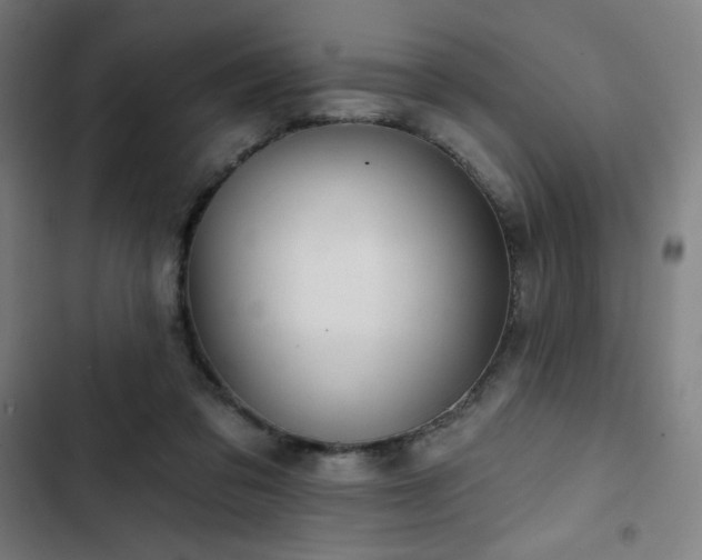 X0000103320309200809051153