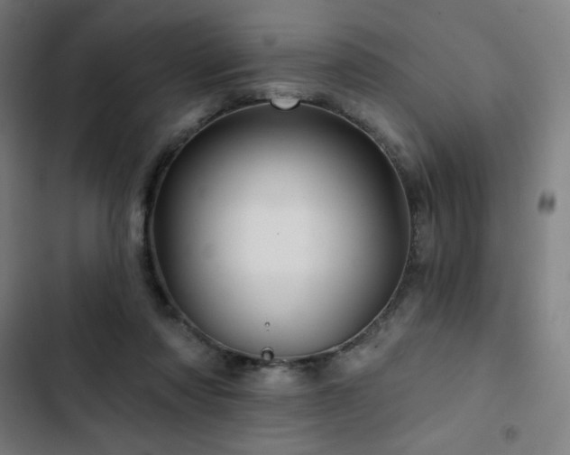 X0000103320310200809051153