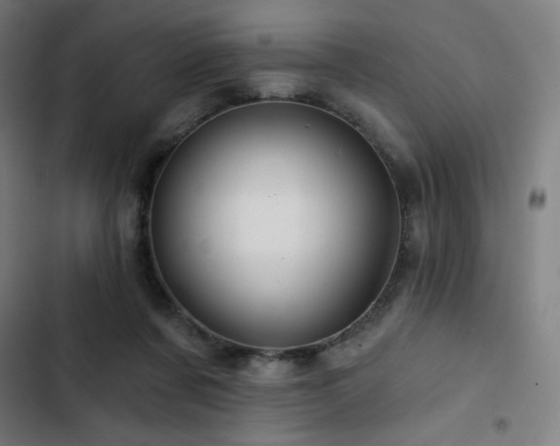 X0000103320311200809051153