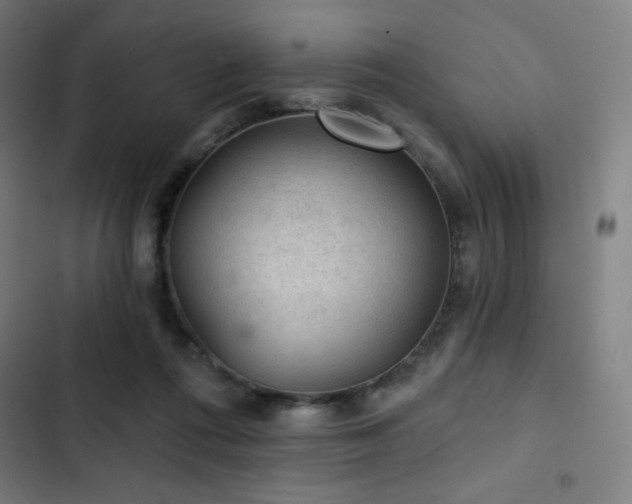 X0000103320312200809051153