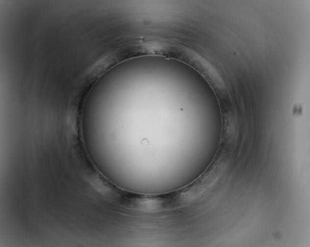 X0000103320313200809051153