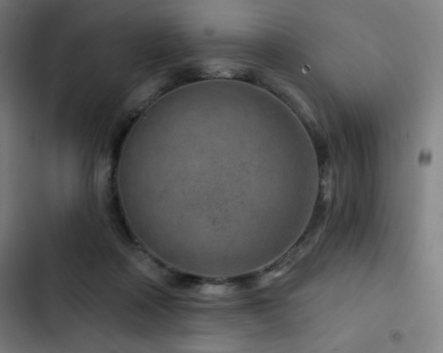 X0000103320314200809051153