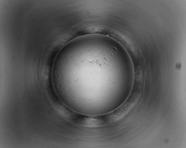 X0000103320315200809051153