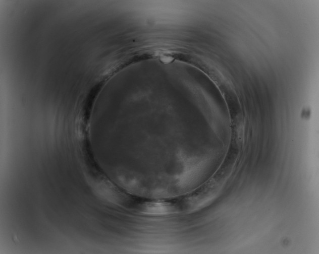 X0000103320316200809051153