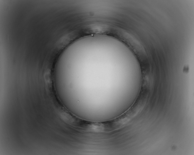 X0000103320317200809051153