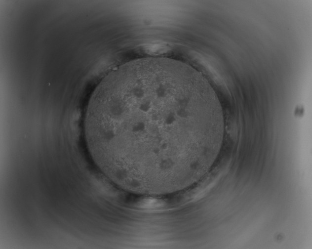 X0000103320319200809051153