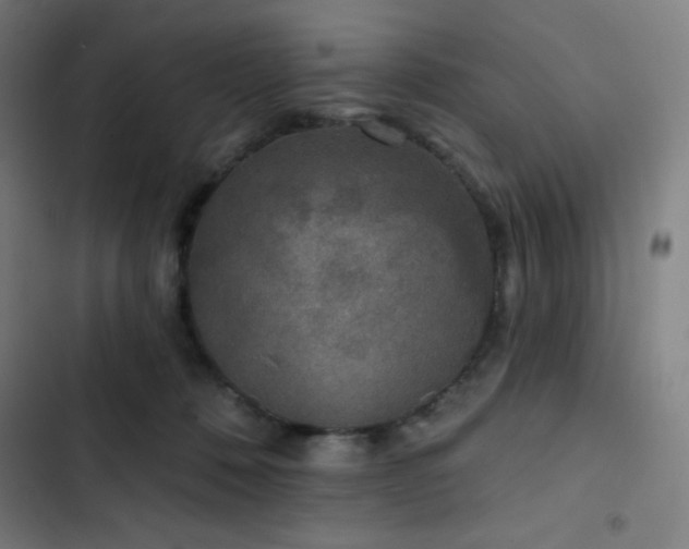 X0000103320320200809051153