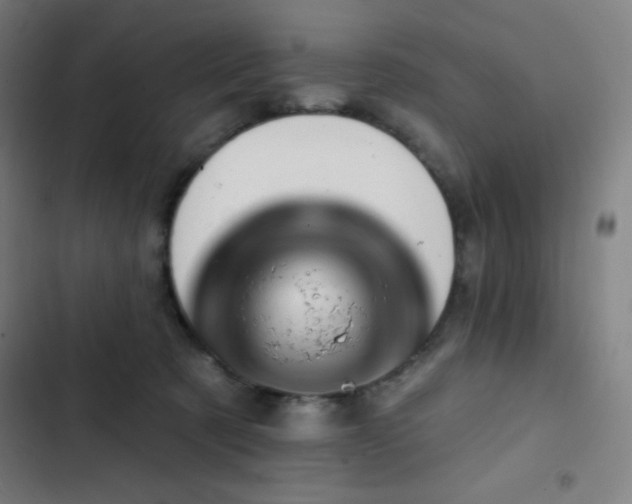 X0000103320321200809051153