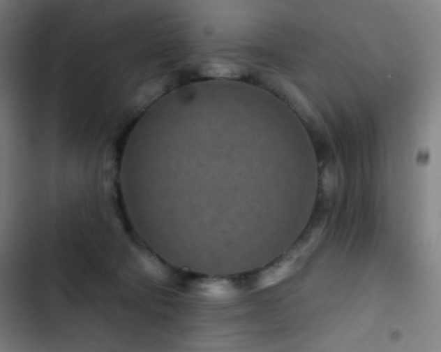 X0000103320322200809051153