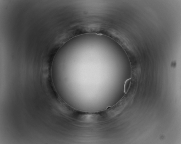 X0000103320323200809051153