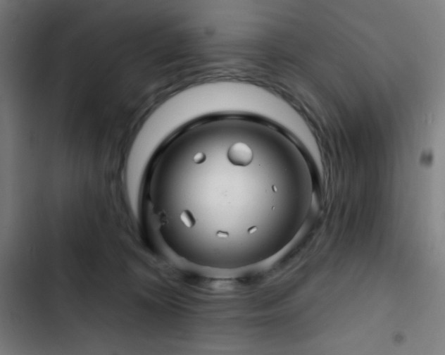 X0000103320324200809051153