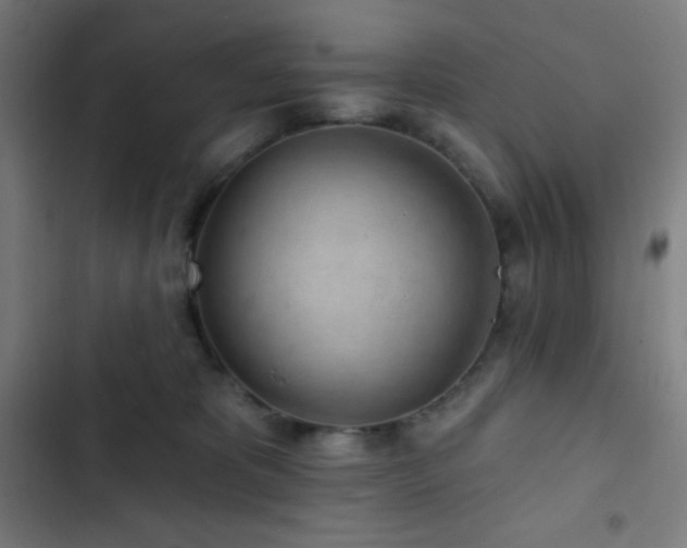 X0000103320325200809051153