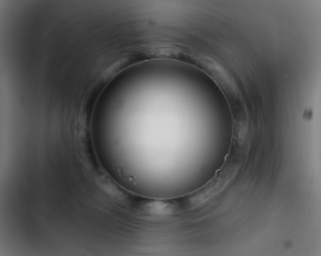 X0000103320326200809051153