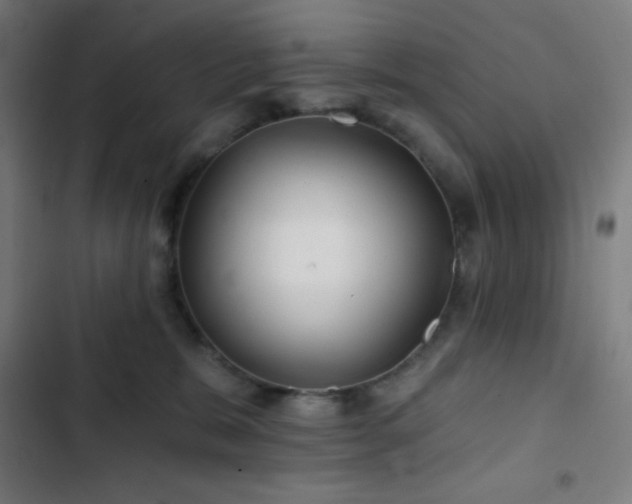 X0000103320327200809051153