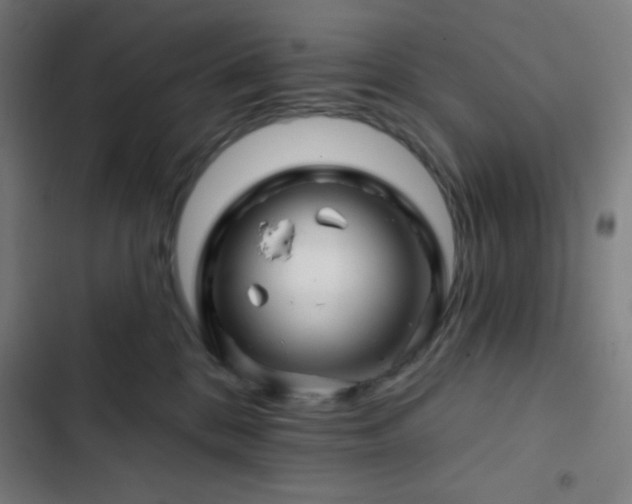 X0000103320328200809051153