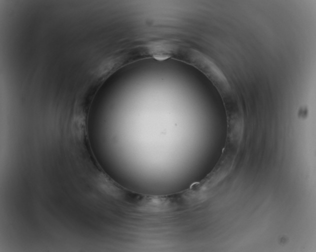 X0000103320329200809051153