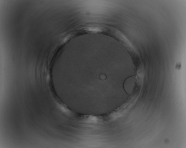 X0000103320330200809051153