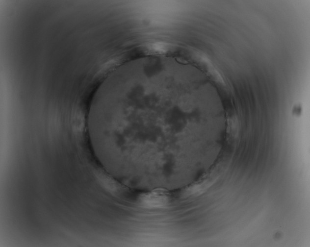 X0000103320331200809051153