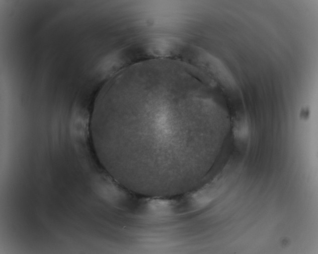 X0000103320332200809051153