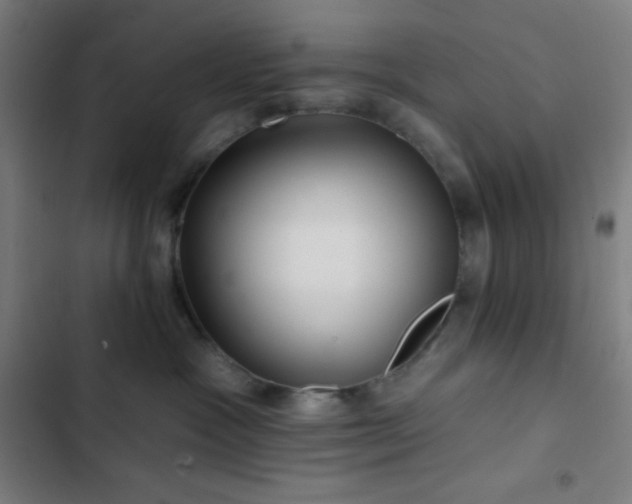 X0000103320333200809051153