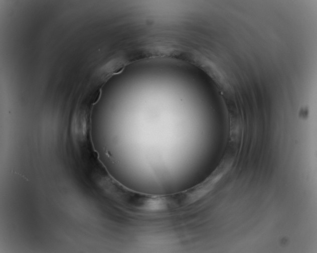 X0000103320334200809051153