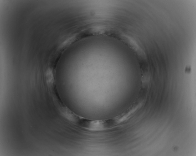 X0000103320335200809051153