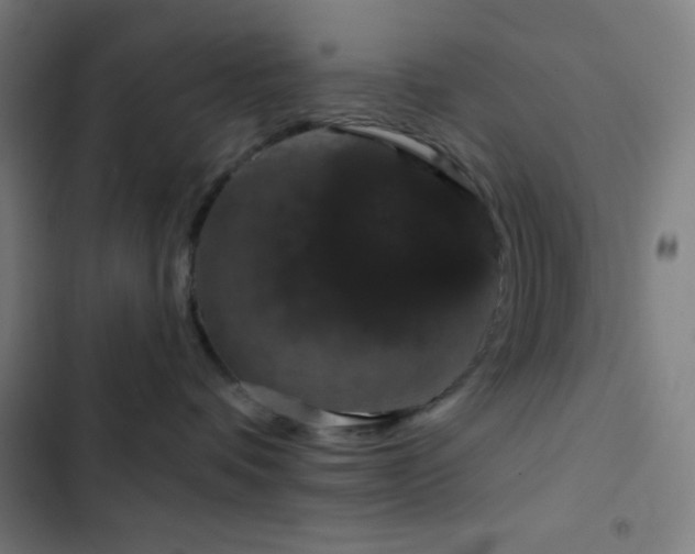 X0000103320336200809051153