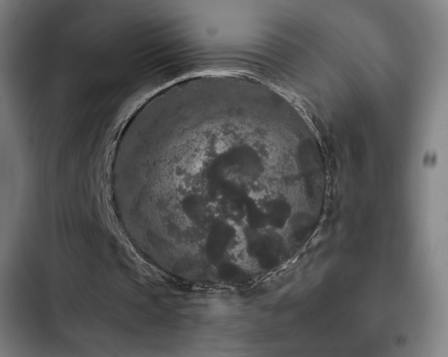 X0000103320337200809051152