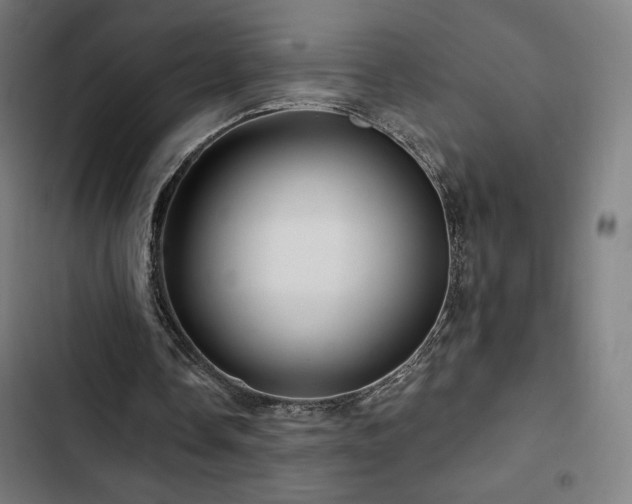 X0000103320338200809051152