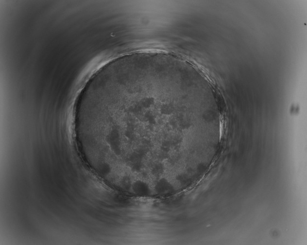 X0000103320339200809051152