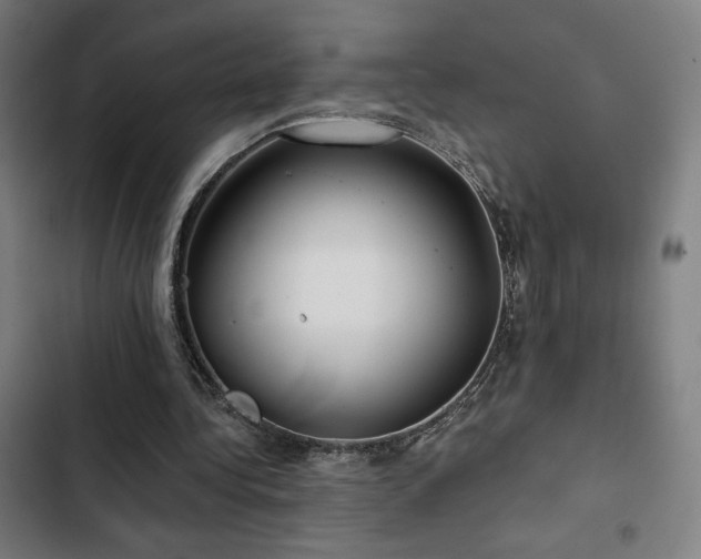 X0000103320340200809051152