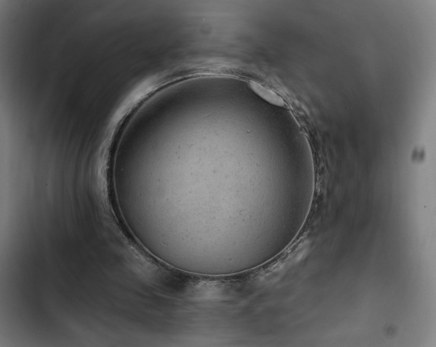 X0000103320341200809051152