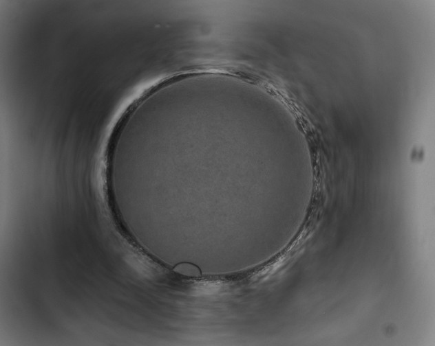 X0000103320342200809051152