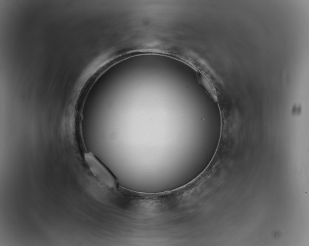 X0000103320344200809051152