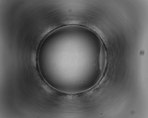 X0000103320345200809051152