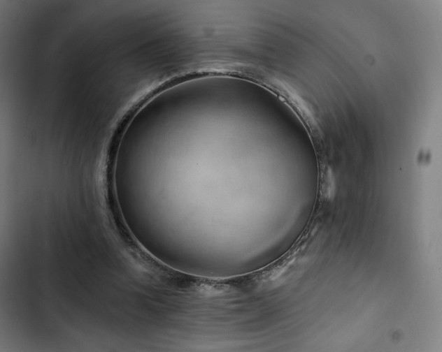 X0000103320346200809051152