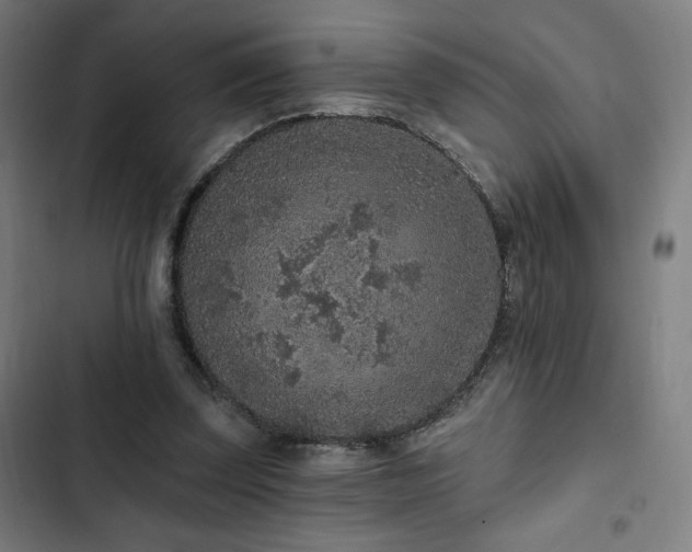 X0000103320347200809051152