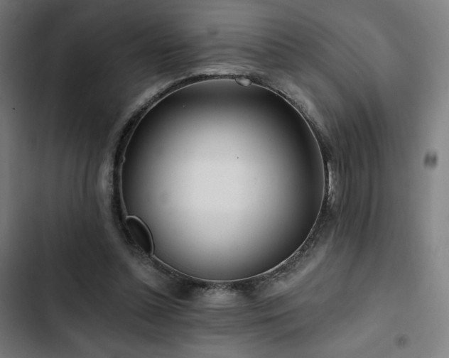 X0000103320348200809051152