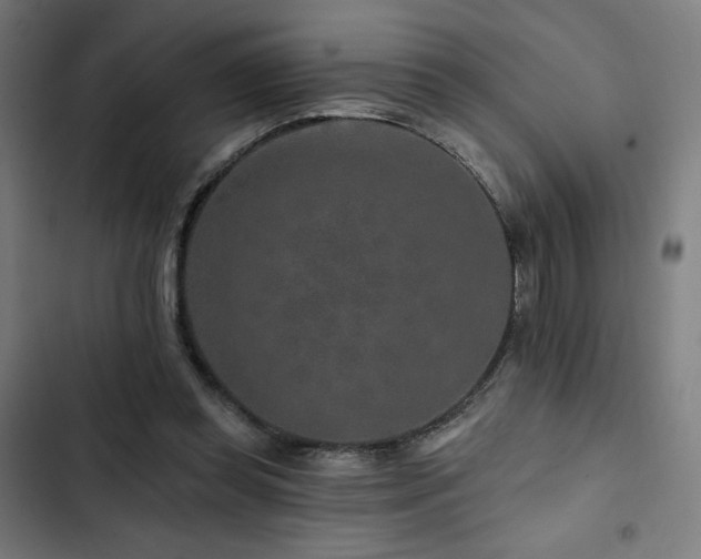 X0000103320349200809051152