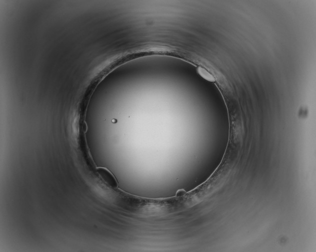 X0000103320350200809051152