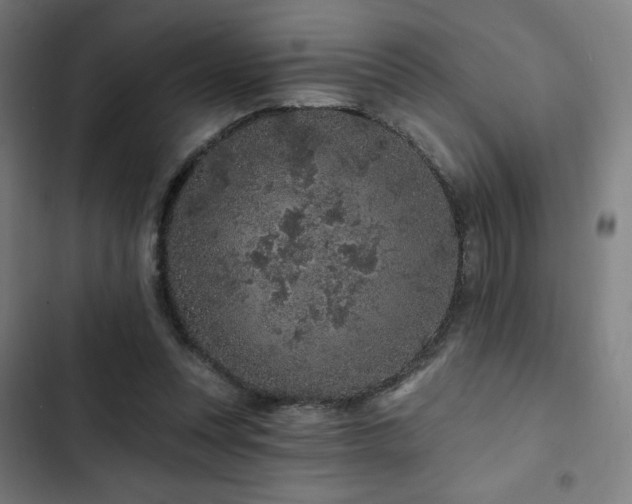 X0000103320351200809051152